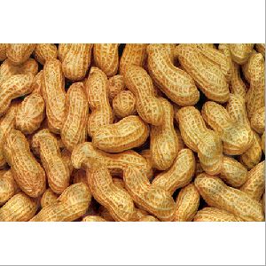 Shelled Groundnuts