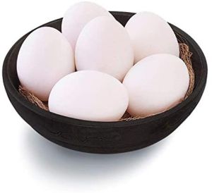 Chicken Eggs