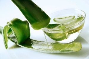 Aloe Vera Herbal Extract