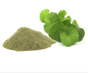 Bacopa Herbal Extract