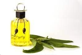 Camphor Oil