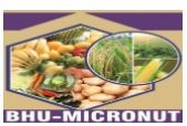 BHU-Micronut Micronutrient Fertilizer