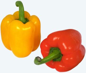 Fresh Bell Peppers