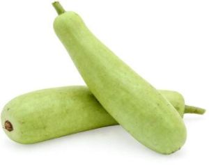 Fresh Bottle Gourd