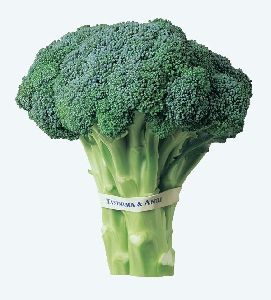 Fresh Broccoli