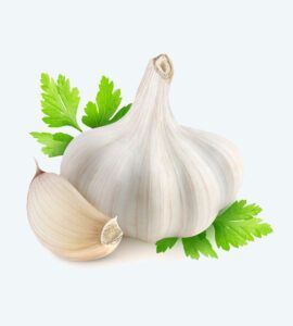 Fresh Garlic