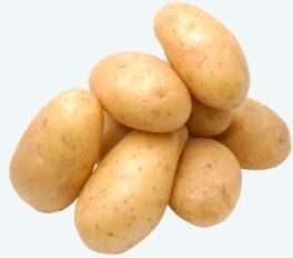 Fresh Potato