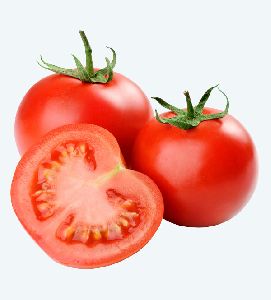 Fresh Red Tomato