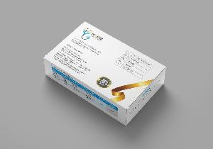 Latex Powdered Examination Gloves
