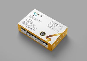 Latex Powder Free Gloves