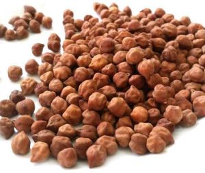 Black Chickpeas