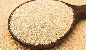 Amaranth Seed