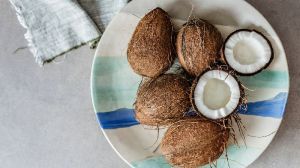 Coconut