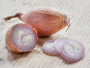 shallot onions