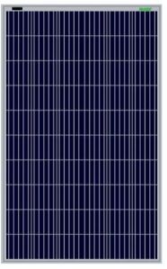 WS-250 Waaree Solar PV Module