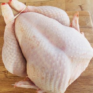 Halal frozen full whole chicken