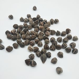 MORINGA LEAVE SEEDS