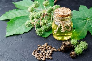 Castor Oil