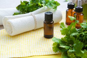 Coriander Essential Oil