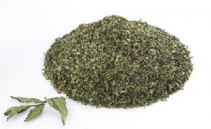 Dry Mint Leaves Powder