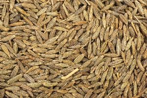 Cumin Seeds