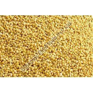 Yellow Millets