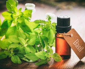 Basil Linalool Essential Oil