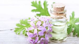 Chinese Geranium Essential Oil