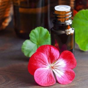 Egyptian Geranium Essential Oil