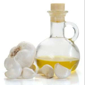 Garlic Essential Oil