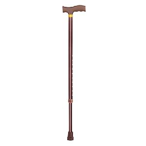 Walking Stick