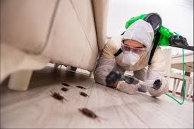 Pest control Services in Hyderabad