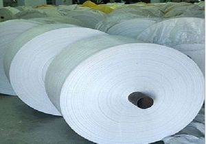 Polypropylene Woven Fabric Roll-110GSM