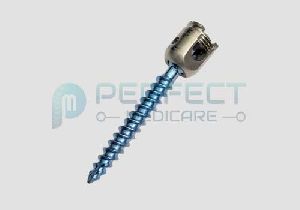 poly axial screw