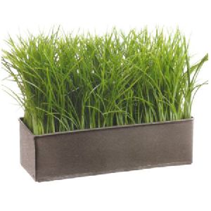 Decorative Artificial Grass