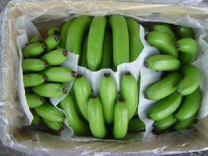 EPE Foam For Banana Packing