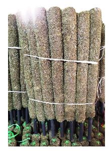 3.5 Feet Moss Stick