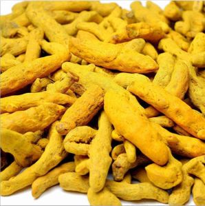 Turmeric Finger