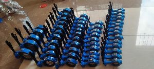 BULK BUTTERFLY VALVE