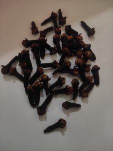 Clove Seeds