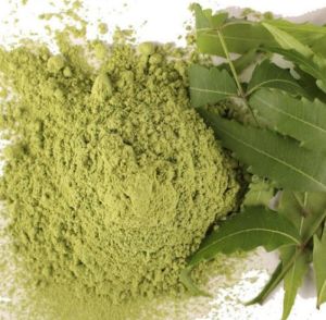 Neem Powder