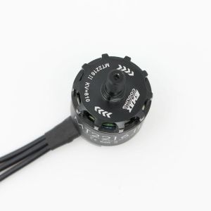 CW Brushless Motor