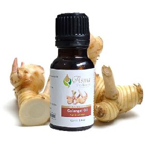 Galangal Oil