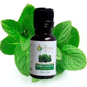 Mentha Citrata Oil