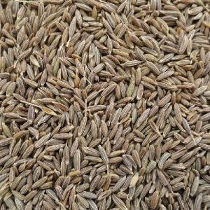 Singapore Quality Cumin Seeds