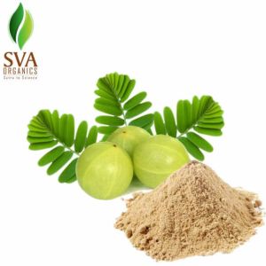 Amla Powder