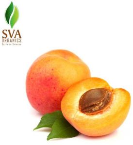 APRICOT KERNEL OIL