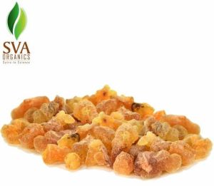 Boswellia Serrata Extract