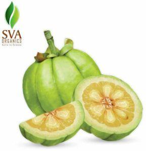 Garcinia Extract