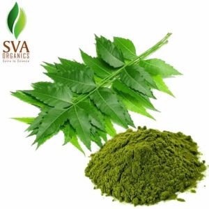 Neem Extract